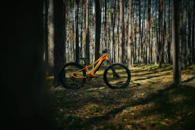 ROMET E-RAMBLER JR 26 1.0 AN 504WH